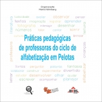 Práticas pedagógicas de professoras do ciclo de alfabetização em Pelotas - Série Narrativas Pedagógicas  vol 1