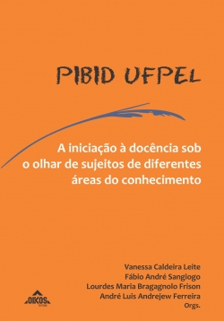 PIBID-UFpel: A iniciação à docência sob o olhar de sujeitos de  diferentes áreas do conhecimento | E-book